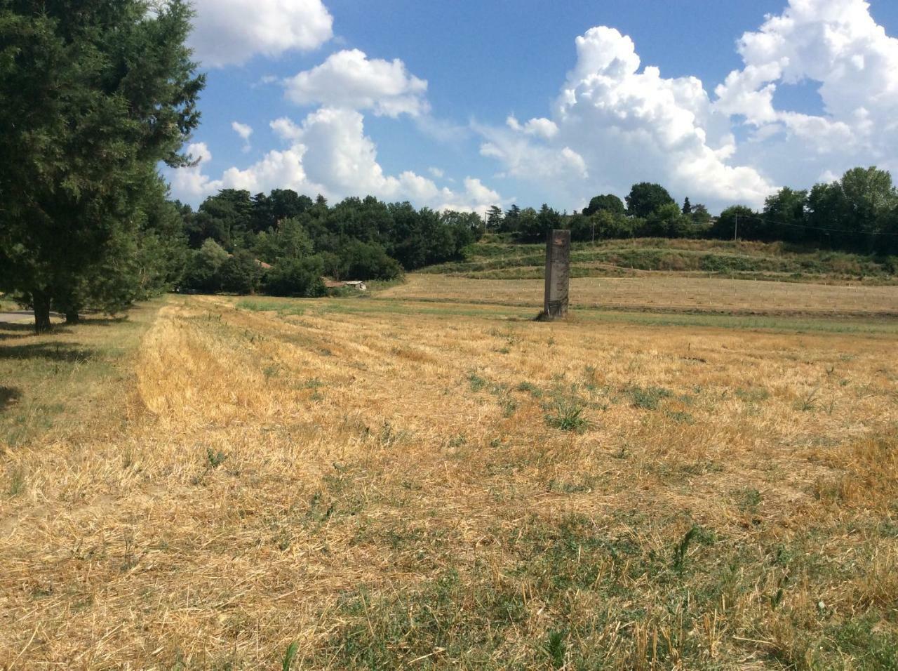 Agriturismo "La Fondazza" Βίλα Ίμολα Εξωτερικό φωτογραφία